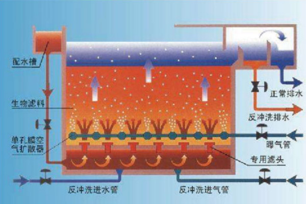 曝气生物滤池 曝气生物滤池
